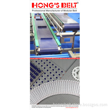 Food&Beverage Industry Modular Conveyor Belt (HS-100B)